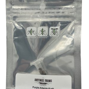 Purple Artemis Kush Hemp Seeds